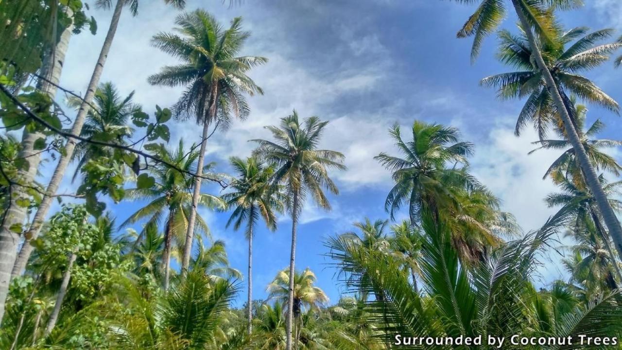 Mansuar Raja Ampat Bungalows Kri المظهر الخارجي الصورة